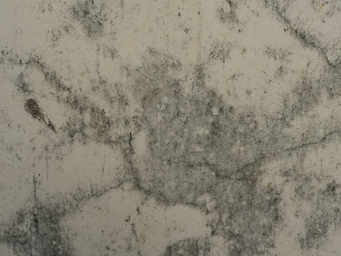 Visible black mold growth on a wall or ceiling surface