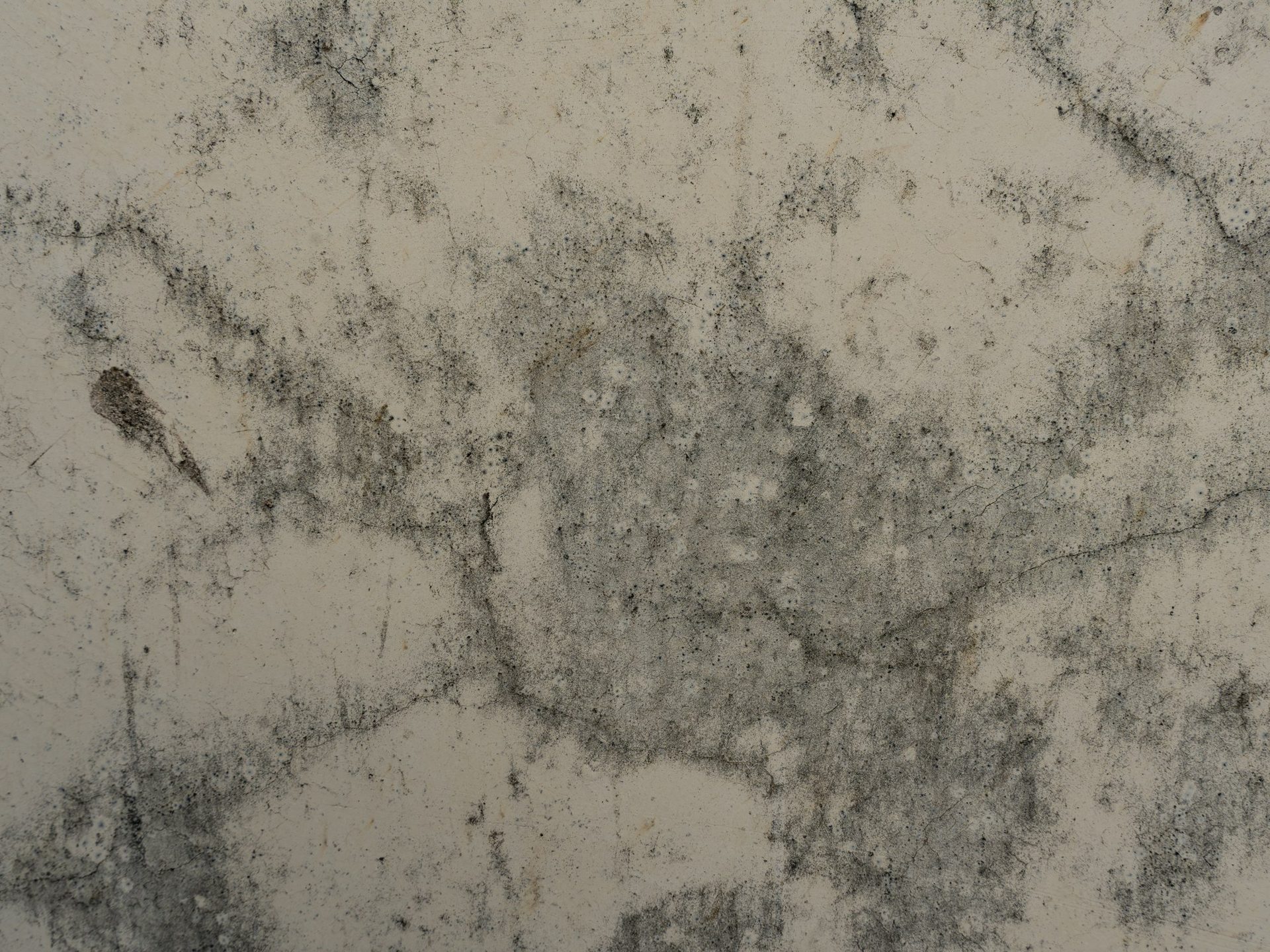 Visible black mold growth on a wall or ceiling surface