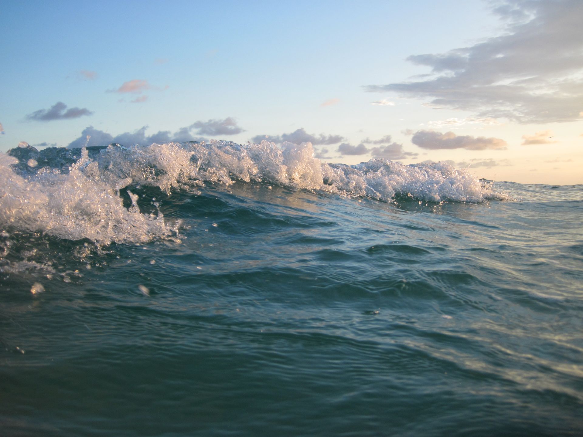 Gulf wave breaking at Navarre Beach, Florida