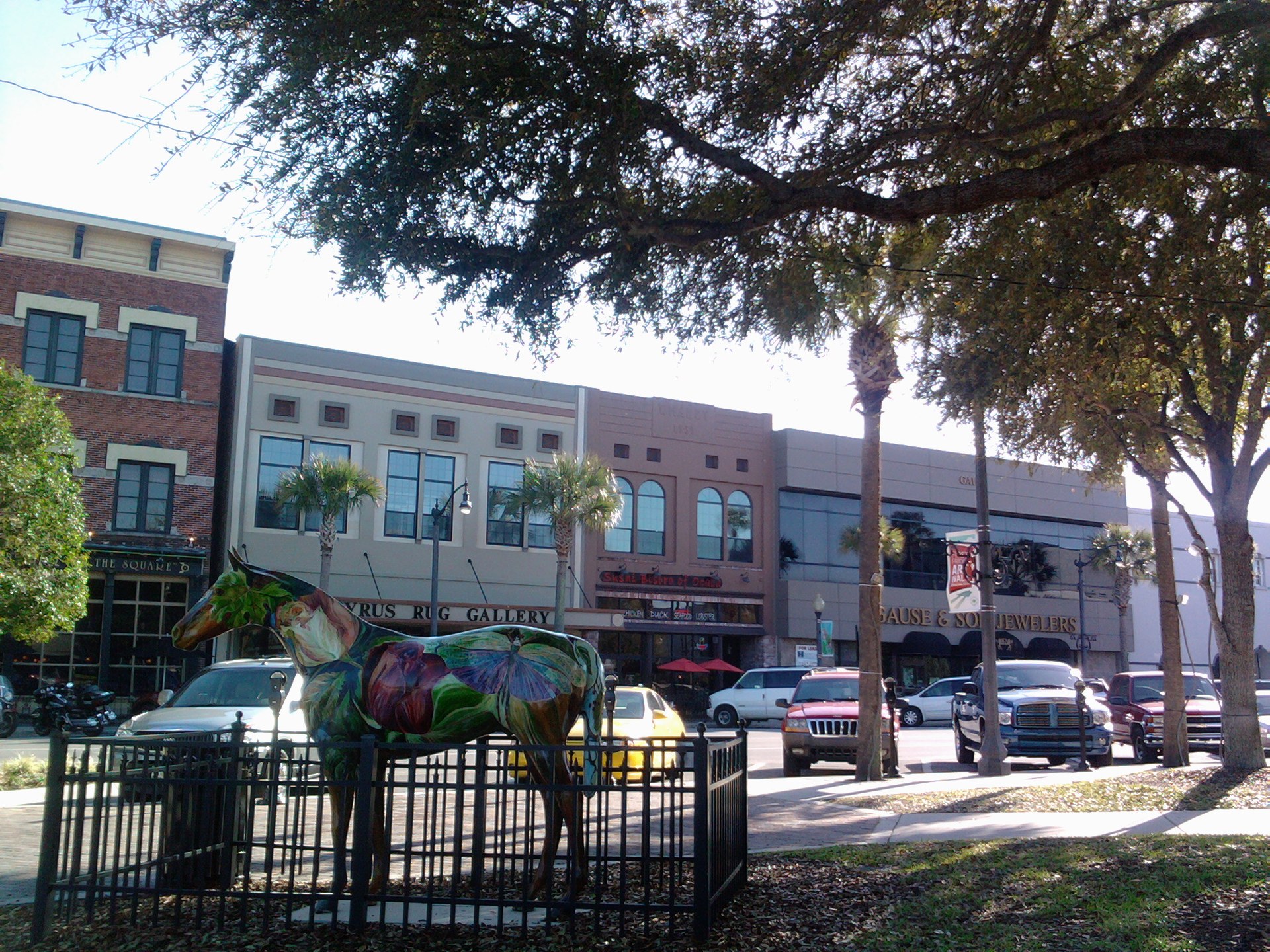 Ocala, Florida local view