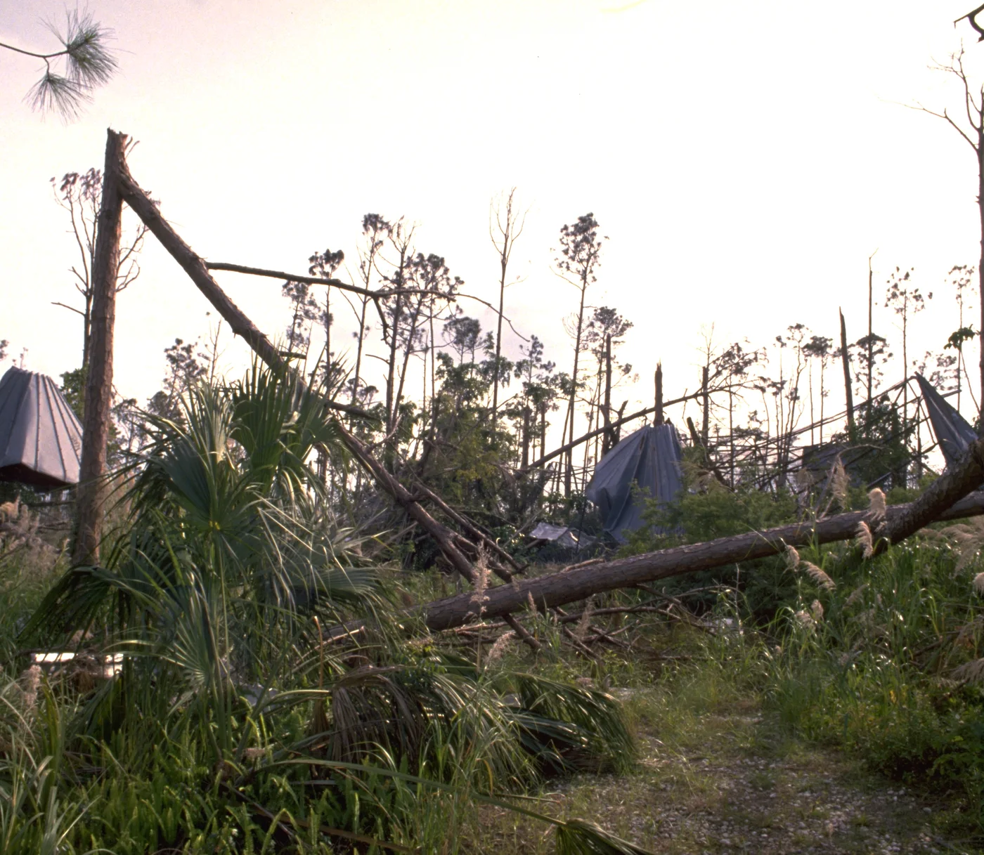 Storm-damaged home illustrating losses we document for Waldorf claims